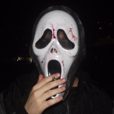 bolawav's profile picture. baixista da @corpocomcorpo 
e @liimonadasuica