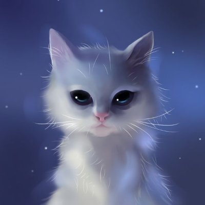 _siedlecki's profile picture. 