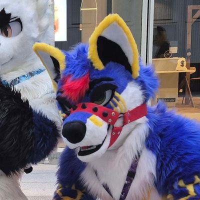 deleafox's profile picture. 🏎️ Fox Motor Company, Ford amateur racing driver 🏁
⏳Fox from the past⌛
🦊 lambda by Chamanite, Delta by @bloodcissors 🦊
📸 Instagram henry_a.f_deleafox
Taken