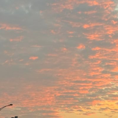 xiaofang1122's profile picture. 