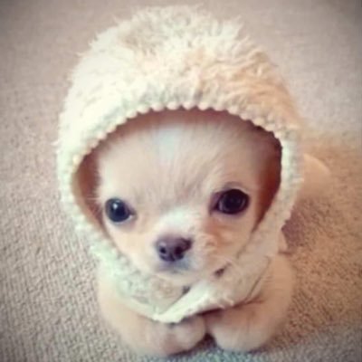 prahasyndrome's profile picture. 