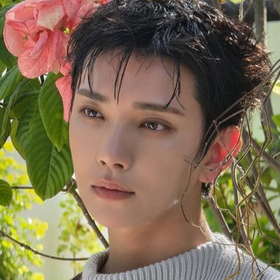 imiyeon334155's profile picture. 