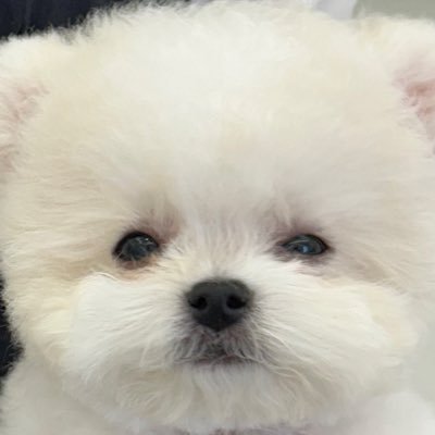 kchan1pick's profile picture. 𝐈'𝐥𝐥 𝐟𝐢𝐧𝐝 𝐲𝐨𝐮 𝐨𝐮𝐭 𝐨𝐟 𝐚 𝐦𝐢𝐥𝐥𝐢𝐨𝐧₊˚✩⊹