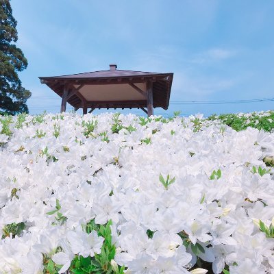 Jacob_CoIIier's profile picture. 