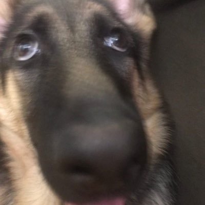 BannedUser079's profile picture. 18