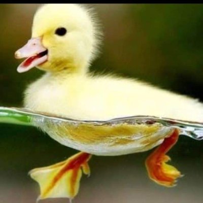 theumair4500's profile picture. sanitize your attitude as well.!