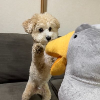 ComtoMasamq's profile picture. 