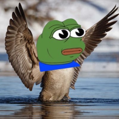 GooseXbtc's profile picture. Goose