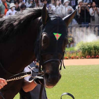 ぽぽ (@pferd0824bvb) / Posts / X