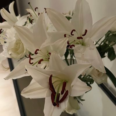 anengrory's profile picture. 