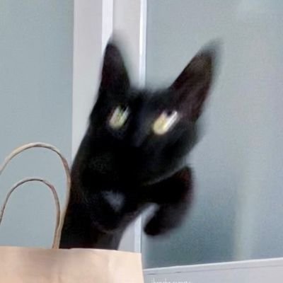 Appletea68574's profile picture. 多趣味人間です、仲良くしてもらえると🙏モンスト/ステラソラ/ユメステ/ブルアカ/音ゲー/マイクラ/カードゲーム