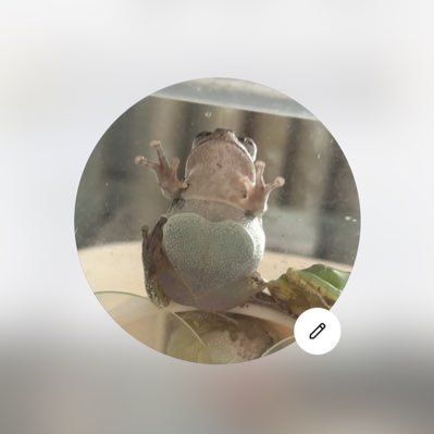 MarinoM21742's profile picture. イベント情報集め用。普段はインスタしか動かしてないです。