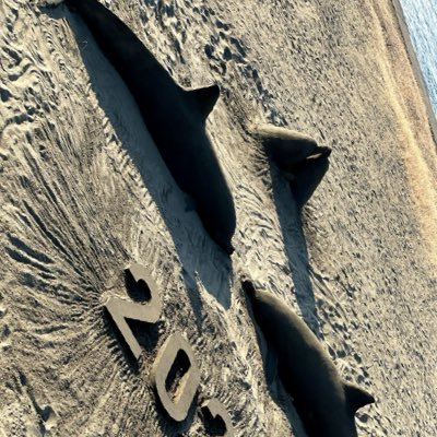 Akira1919355's profile picture. 再開しました☺︎ 美味しいもの色々食べ歩きしています/会社役員のおじ/定期的に会える方をゆるーく募☺︎