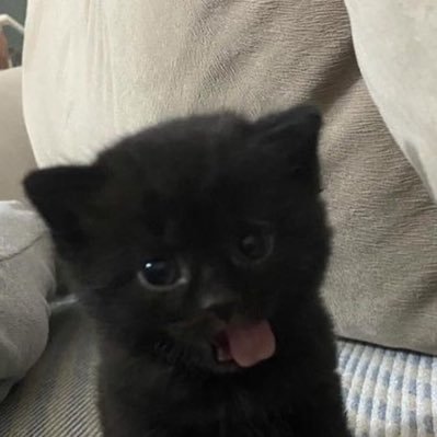 ZxeLee2yooo's profile picture. 