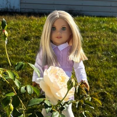 tokidokibeefie's profile picture. meghan's hiding spot, 30+, blue ridge mountains // dolls idols vtubers art // (takotokibeefs)