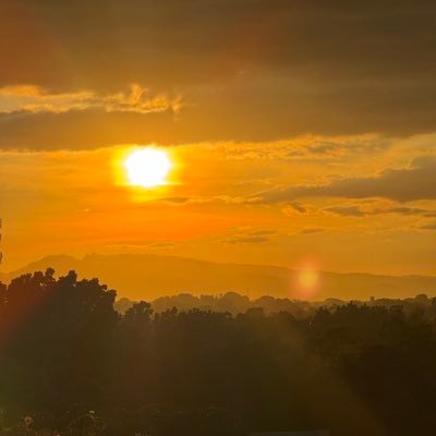 mace0021's profile picture. 