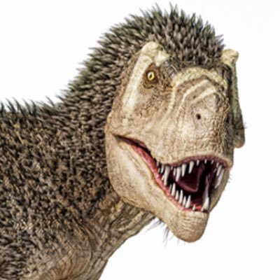 xb93296's profile picture. ダブルブッキングに自信アリ💪✨