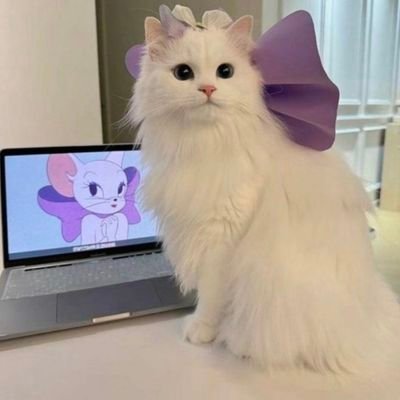 yyukslndeaslan_'s profile picture. 