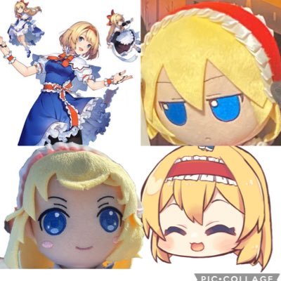 Alice_m_lover's profile picture. アリス好き│口も話す内容も汚い方のアカウント@otomad_sukosuko│