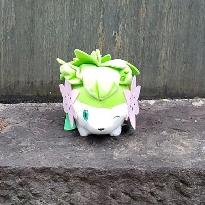 yanbaru1kuina's profile picture. 光射さない ならば光るだけ