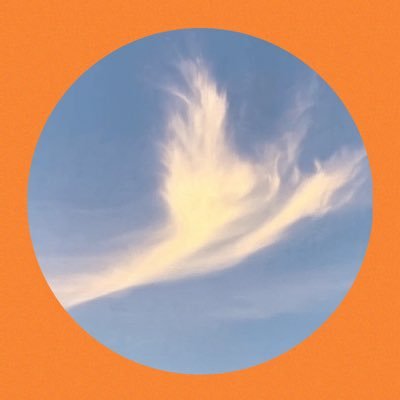 Hakko101230's profile picture. 🍊参政党大阪支部党員🍊元アカがシャドウバン解除出来ず新アカウント🧡✨バン対策の為投稿少なめフォロバゆっくりです🍊無言フォロー失礼します🍊Ｘおかしい😰フォローしたはずが 消えてるかも再度フォローします🍊参政党支持の方、愛国心ある方と繋がりたいです🍊業者、友達作りDMお断り🙇‍♀️とにかくDMお断り！