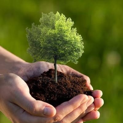 Emmasdon1992's profile picture. I carry Grace wey pass juju