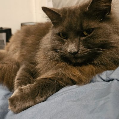 StaceyRose1986's profile picture. 