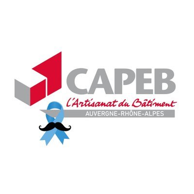 capebaura's profile picture. Représente, défend, accompagne les ent. du #batiment
#artisanat #BTP #transitionenergetique #patrimoine #emploi #formation #logement #marchespublics #dechets