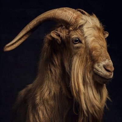 KenDrickjnr25's profile picture. 🎭Every Human Wears A Mask 🎭