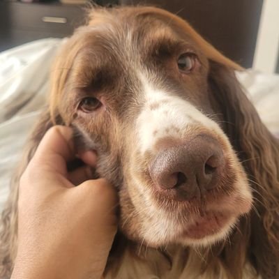 hosmanpuerto's profile picture. Disfrutando de todo lo que nos da la Vida, aprendiendo de todo y aportando a un futuro mejor!!!!