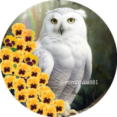 mimizuku881's profile picture. 老齢ながらまだまだ好奇心旺盛なアニメやゲーム好きなお宅の愛猫家。ハムスターも飼ってます。花や自然が大好き。 右翼では無いけれど愛国心溢れてます(笑)民間防衛マスター日本の来たるべき危機に備えましょう！ トランスヒューマニストな人かもしれない。 エロ❌勧誘❌いきなりLINE交換❌