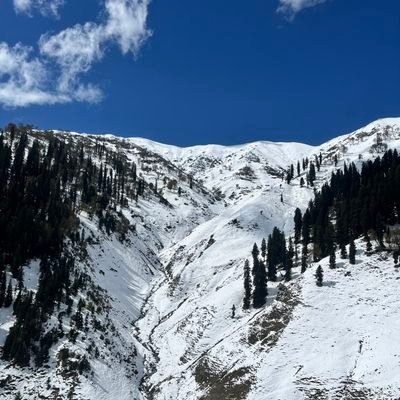 imthewaseem's profile picture. Ascetic