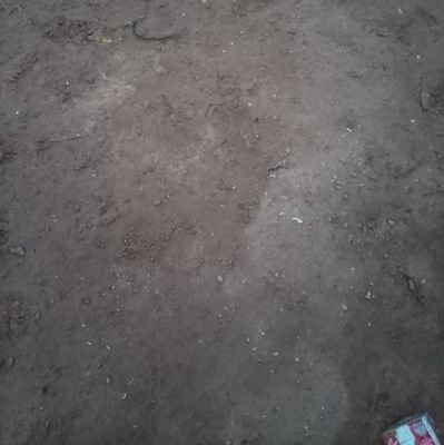 nfh2025's profile picture. 