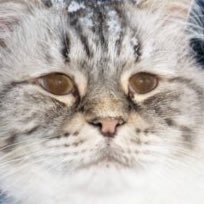 Gmajor7251's profile picture. 【BE YOURSELF, OTHERS ARE ALL TAKEN】 🐣💚7For7 🌴🍑🎃👑🥒🐜🐍[16/01/04]