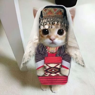 worldofripsi's profile picture. ֎