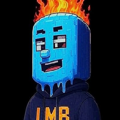 themain_lmb's profile picture. Memecoin || marketer || web 3 grinder || guy trader || 📈