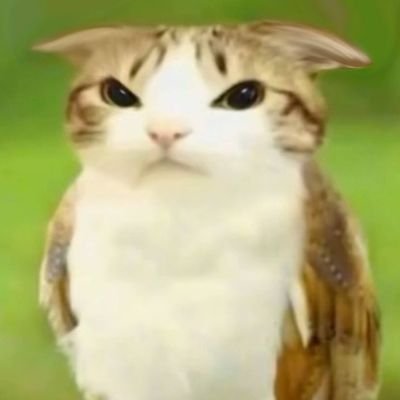 cascadedrain's profile picture. I PASSED THE BOARD EXAM 😭