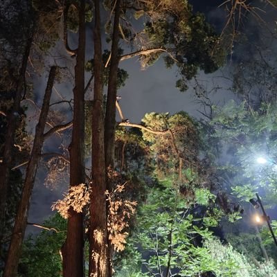 Melenita2009's profile picture. 