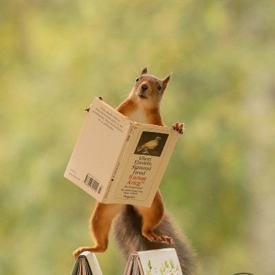 aylloveu's profile picture. 