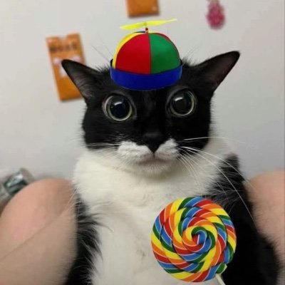 mcenerywa's profile picture. (mediocre) Cyclist, UX Designer at Boreal Games, Real life Animal Crossing villager.