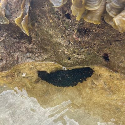 nonnierz's profile picture. Connecting the dots. Balance and alignment are 🔑.