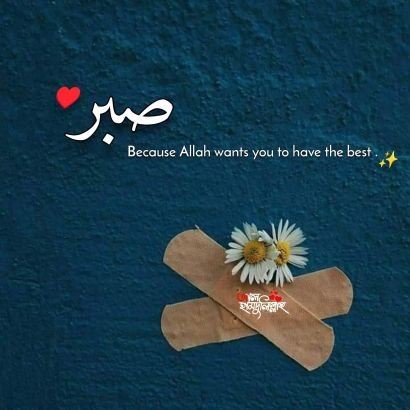 Kiran_Hanif_'s profile picture. محسن تیری بستی میں اداکار بہت ہیں......