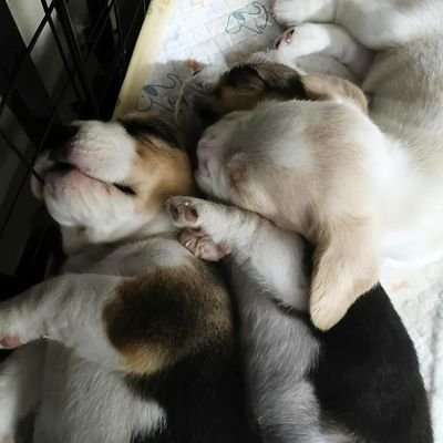 Hanaui_28's profile picture. 