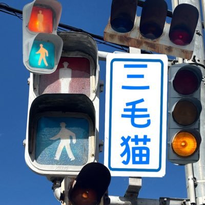 rui508sumomo's profile picture. 無言フォロー失礼します！信号機・鉄道模型・Vtuberが好きです 。ちなみに宝鐘マリン推し!🏴‍☠️ ※名前は某VTuberとは関係ありません※