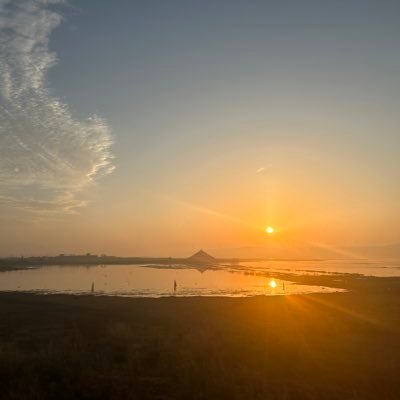 LeviLei16658's profile picture. 