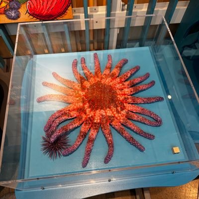 NonnaYourbiz's profile picture. 