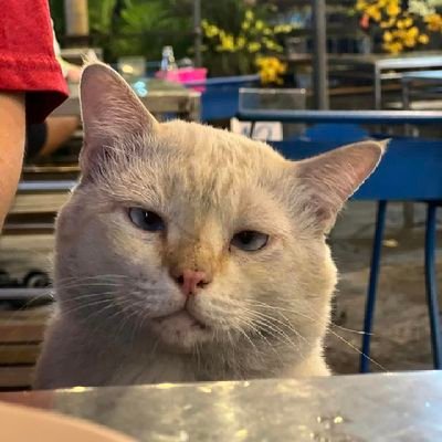 agedaunttt9's profile picture. ป้าลูกดก // @kaosupassara9 ใครจะไปลืมรักแรกได้ // มันก็ต้อง 97 อยู่แล้วป้ะ // always support @malisorn00