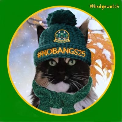 islandlyn's profile picture. Geisha moved in after Angels Blue and Harry went to their forever sleep 🌈 . Hoomum loves all animals, silliness and Manchester City.