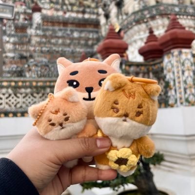 dhetadhania's profile picture. random post about life and day6