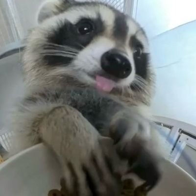 S2____U's profile picture. ㅋㅋㅋㅋㅋㅋㅋㅋㅋㅋㅋㅋㅋㅋㅋㅋ 그게 모양ㅋㅋㅋㅋ 진짜 완전 귀엽당ㅋㅋㅋㅋㅋㅋㅋ❤❤❤ 공쥬 내사랑❤❤ 너무너무 귀여워서 어떡하징❤❤ 우리 예쁜 공쥬님 고구마 안 훔쳐 먹을게용ㅋㅋㅋㅋㅋ❤❤❤앙앙❤❤사랑해용 예쁘고 귀여운 우리 공쥬님 앙앙❤❤❤❤❤❤❤❤❤❤❤❤❤❤❤❤❤❤❤❤❤